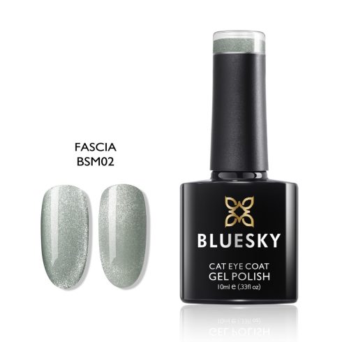 Bluesky-Vernis Gel Fascia-BSM02