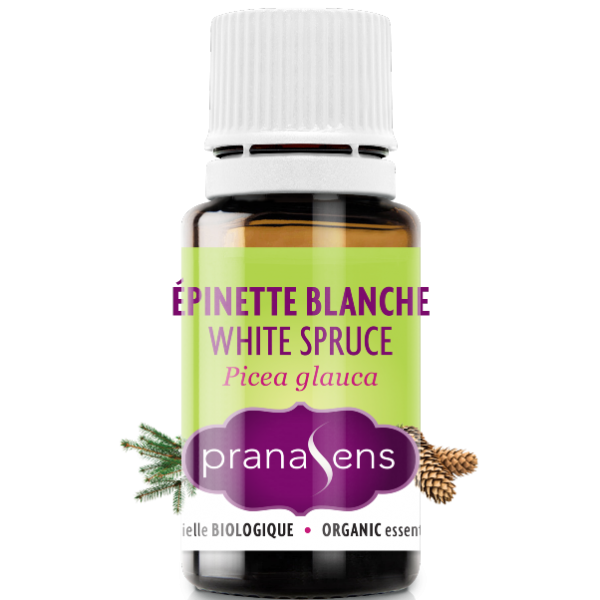 Essential Oil Organic White Spruce by Pranasens