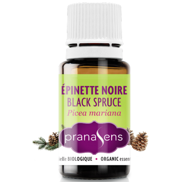 Pranasens-Huile Essentielle Épinette Noire 15ml