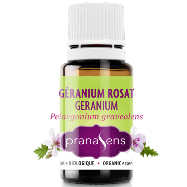 Essential Oil Geranium Bourbon by Pranasens