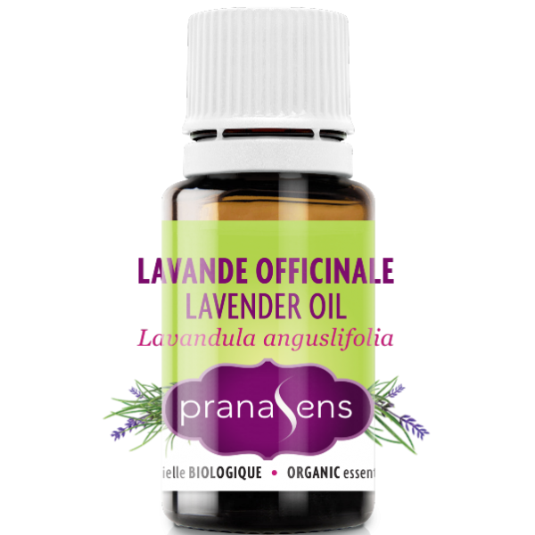 Essential Oil Officinal Lavander By Pranasens