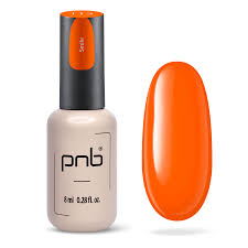 PNB-Vernis Gel Smile 113