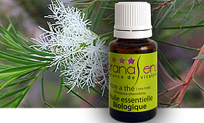 Pranasens-Huile Essentielle Arbre à Thé 15ml